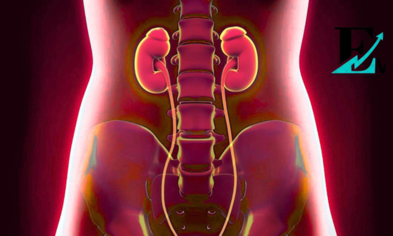 Why Do I Feel Like I Have to Pee Every 5 Minutes